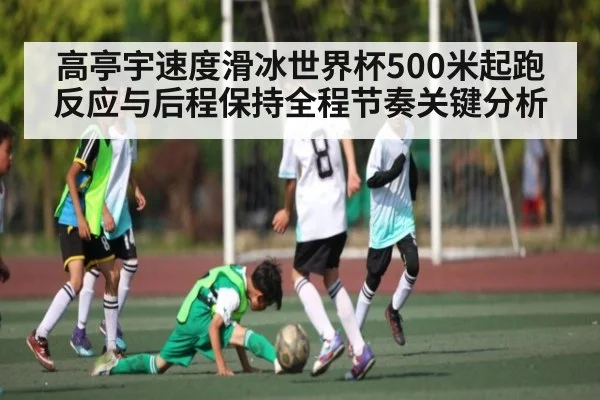 高亭宇速度滑冰世界杯500米起跑反应与后程保持全程节奏关键分析